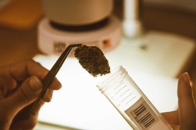 Extracted using controlled, laboratory-tested processes