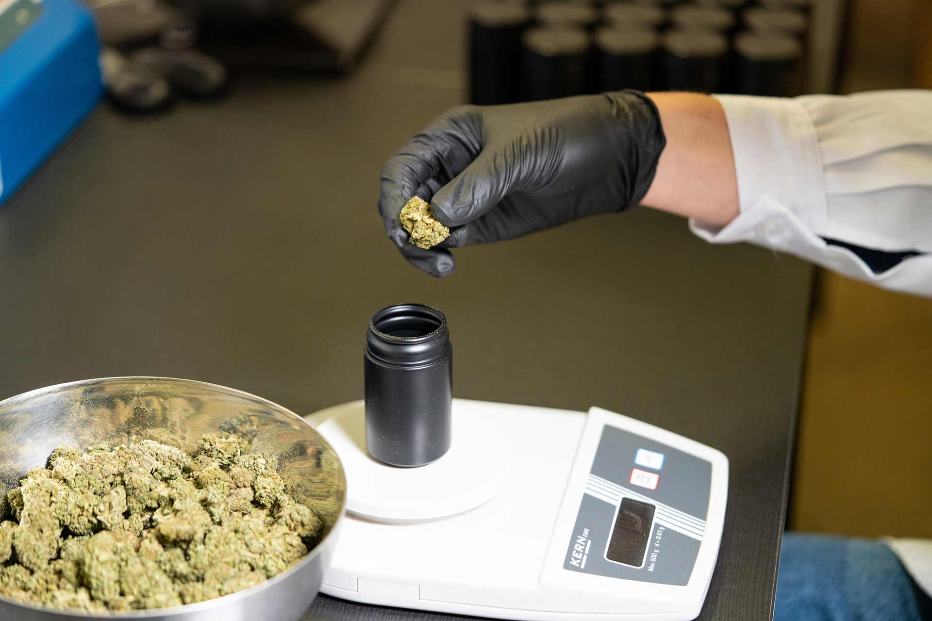 Premium Cannabis Cultivation Project