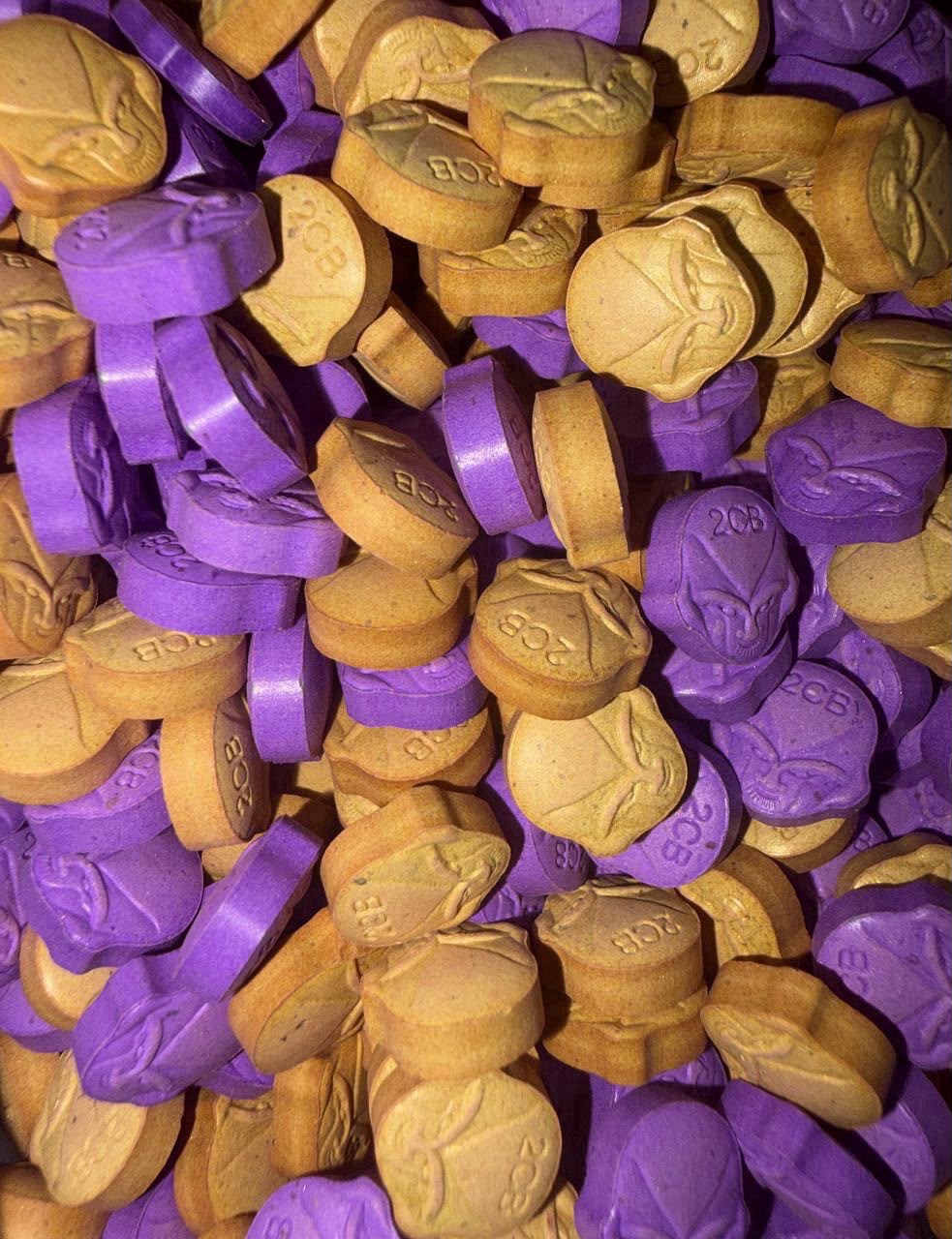 2C-B CAPSULES - Image 4