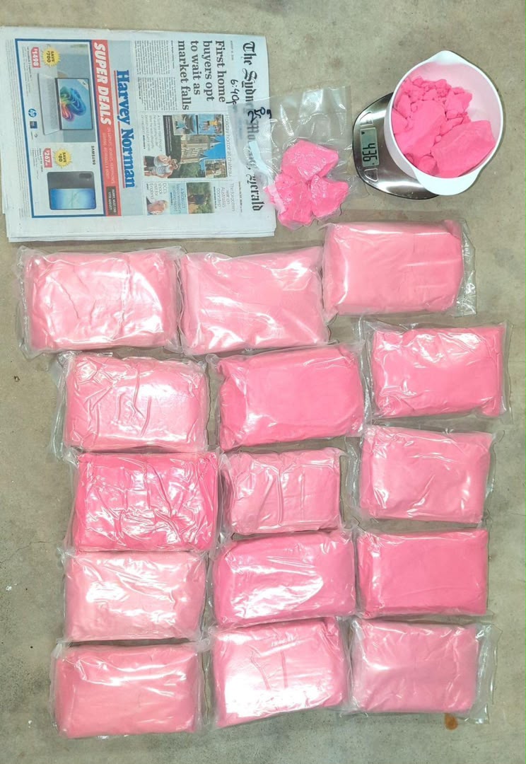 Miami Pink Tusi - Image 2